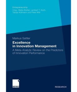Excellence in Innovation Management: A Meta-Analytic Review on the Predictors of Innovation Performance eBook