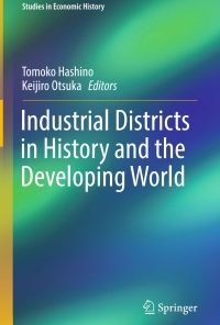Industrial Districts in History and the Developing World eBook