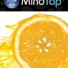 MindTap Counseling for Corey's Theory and Practice of Counseling and Psychotherapy, 9th Edition, [Instant Access], 1 term (6 months) eBook