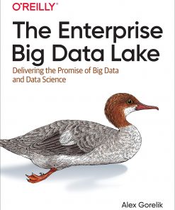 The Enterprise Big Data Lake: Delivering the Promise of Big Data and Data Science eBook