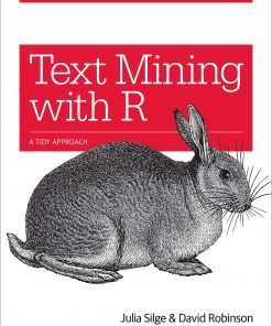 Text Mining with R A Tidy Approach eBook
