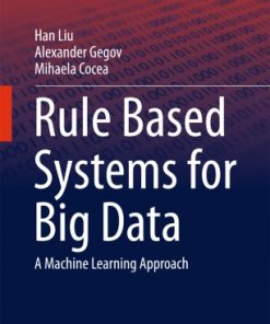 Rule Based Systems for Big Data: A Machine Learning Approach eBook