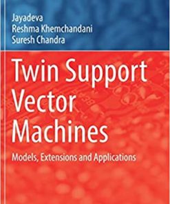 Twin Support Vector Machines: Models, Extensions and Applications eBook
