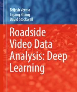 Roadside Video Data Analysis: Deep Learning eBook