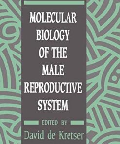 Molecular Biology of the Male Reproductive System eBook