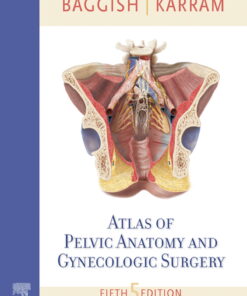 Atlas of Pelvic Anatomy and Gynecologic Surgery E-Book eBook
