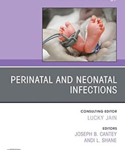 Perinatal and Neonatal Infections, An Issue of Clinics in Perinatology EBook eBook