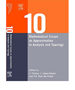 Ten Mathematical Essays on Approximation in Analysis and Topology: Ten Mathematical Essays eBook