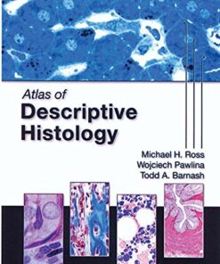 Atlas of Descriptive Histology eBook