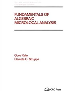Fundamentals of Algebraic Microlocal Analysis eBook