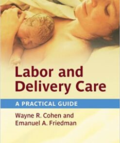 Labor and Delivery Care: A Practical Guide eBook