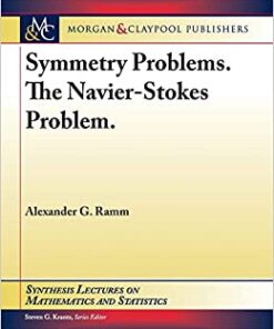 Symmetry Problems. The Navier–Stokes Problem. eBook