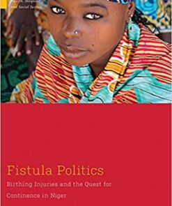 Fistula Politics: Birthing Injuries and the Quest for Continence in Niger eBook