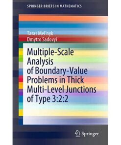 Multiple-Scale Analysis of Boundary-Value Problems in Thick Multi-Level Junctions of Type 3:2:2 eBook