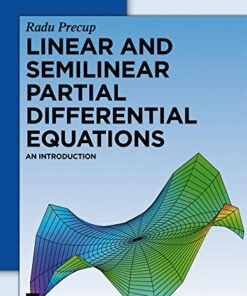 Linear and Semilinear Partial Differential Equations: An Introduction eBook