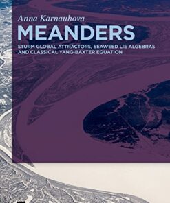 Meanders: Sturm Global Attractors, Seaweed Lie Algebras and Classical Yang-Baxter Equation eBook