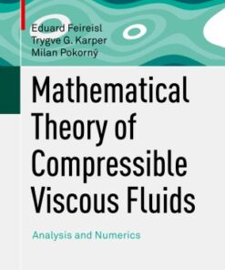 Mathematical Theory of Compressible Viscous Fluids: Analysis and Numerics eBook