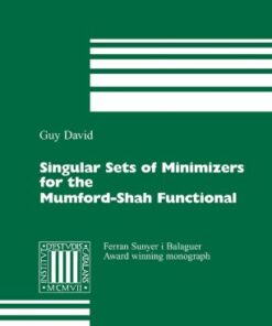 Singular Sets of Minimizers for the Mumford-Shah Functional eBook