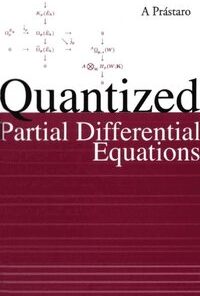 Quantized Partial Differential Equations eBook