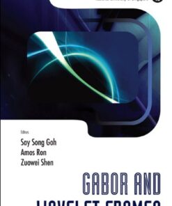 Gabor And Wavelet Frames eBook