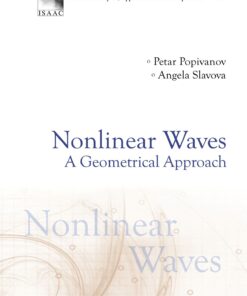 Nonlinear Waves: A Geometrical Approach eBook