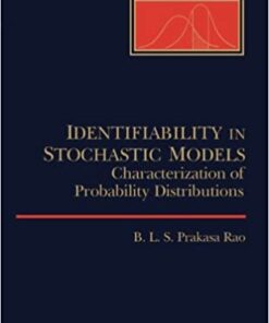 Identifiability In Stochastic Models eBook