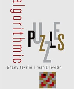 Algorithmic Puzzles eBook