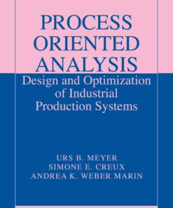 Process Oriented Analysis: Design and Optimization of Industrial Production Systems eBook