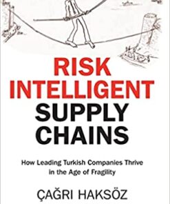 Risk Intelligent Supply Chains: How Leading Turkish Companies Thrive in the Age of Fragility eBook