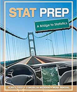Stat Prep: A Bridge to Statistics eBook