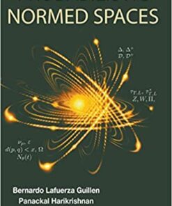 Probabilistic Normed Spaces eBook