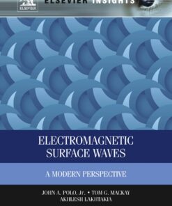 Electromagnetic Surface Waves: A Modern Perspective eBook