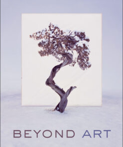Beyond Art eBook