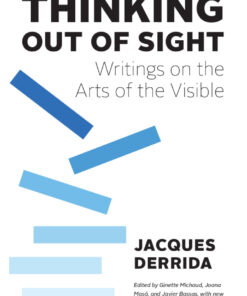 Thinking Out of Sight: Writings on the Arts of the Visible eBook