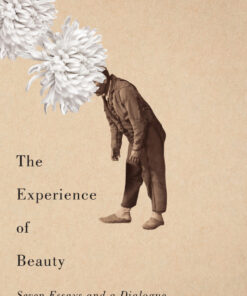 The Experience of Beauty: Seven Essays and a Dialogue eBook