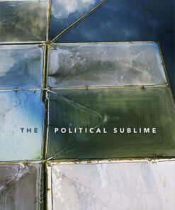 The Political Sublime eBook