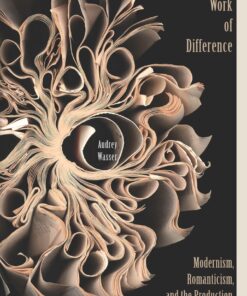 The Work of Difference: Modernism, Romanticism, and the Production of Literary Form eBook