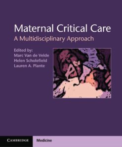 Maternal Critical Care: A Multidisciplinary Approach eBook