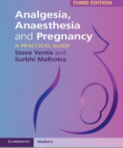 Analgesia, Anaesthesia and Pregnancy: A Practical Guide eBook