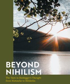 Beyond Nihilism: The Turn in Heidegger’s Thought from Nietzsche to Hölderlin eBook