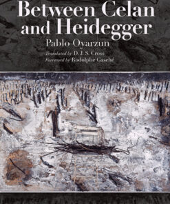 Between Celan and Heidegger eBook