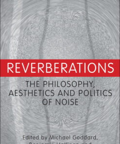 Reverberations: The Philosophy, Aesthetics and Politics of Noise eBook