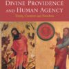 Divine Providence and Human Agency: Trinity, Creation and Freedom eBook