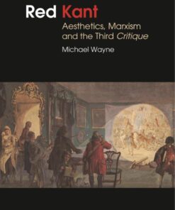 Red Kant: Aesthetics, Marxism and the Third Critique eBook