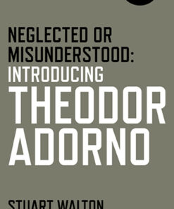 Neglected or Misunderstood eBook