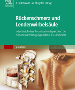 Rückenschmerz und Lendenwirbelsäule: Interdisziplinäres Praxisbuch - entsprechend den Nationalen Versorgungsleitlinien eBook