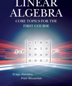Linear Algebra: Core Topics For The First Course: Core Topics for the First Course eBook
