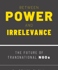 Between Power and Irrelevance: The Future of Transnational NGOs eBook