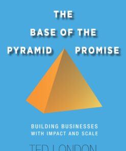 The Base of the Pyramid Promise: Building Businesses with Impact and Scale eBook