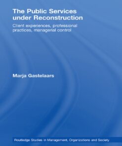 The Public Services under Reconstruction: Client experiences, professional practices, managerial control eBook